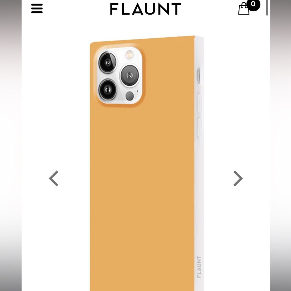 Flaunt Square Phone Case 13 Pro Max